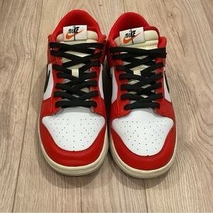 Chicago Split Nike Dunk Low